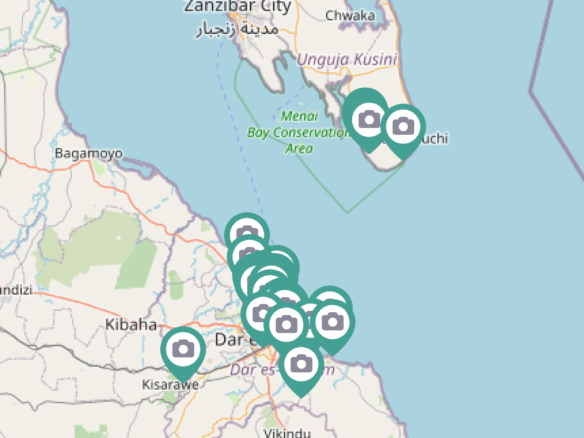 increased bookings in kinondoni